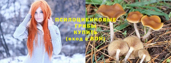 винт Усмань